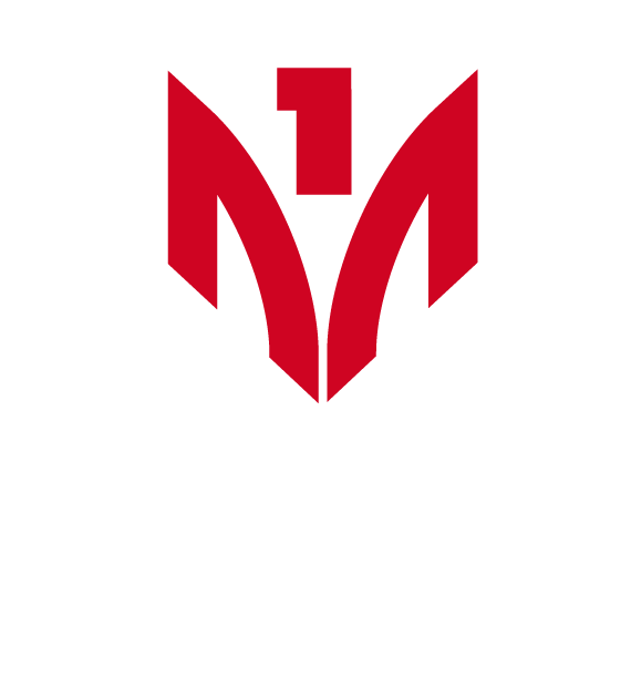 Akademia Nauk Stosowanych Mazovia logo